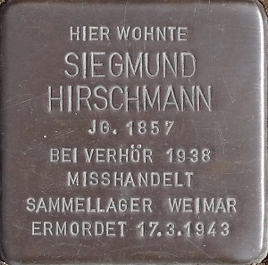 SHirschmann300